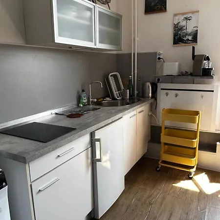 Le Centr'aix-studio Au Coeur D'aix-les-bains 公寓 艾克斯莱班